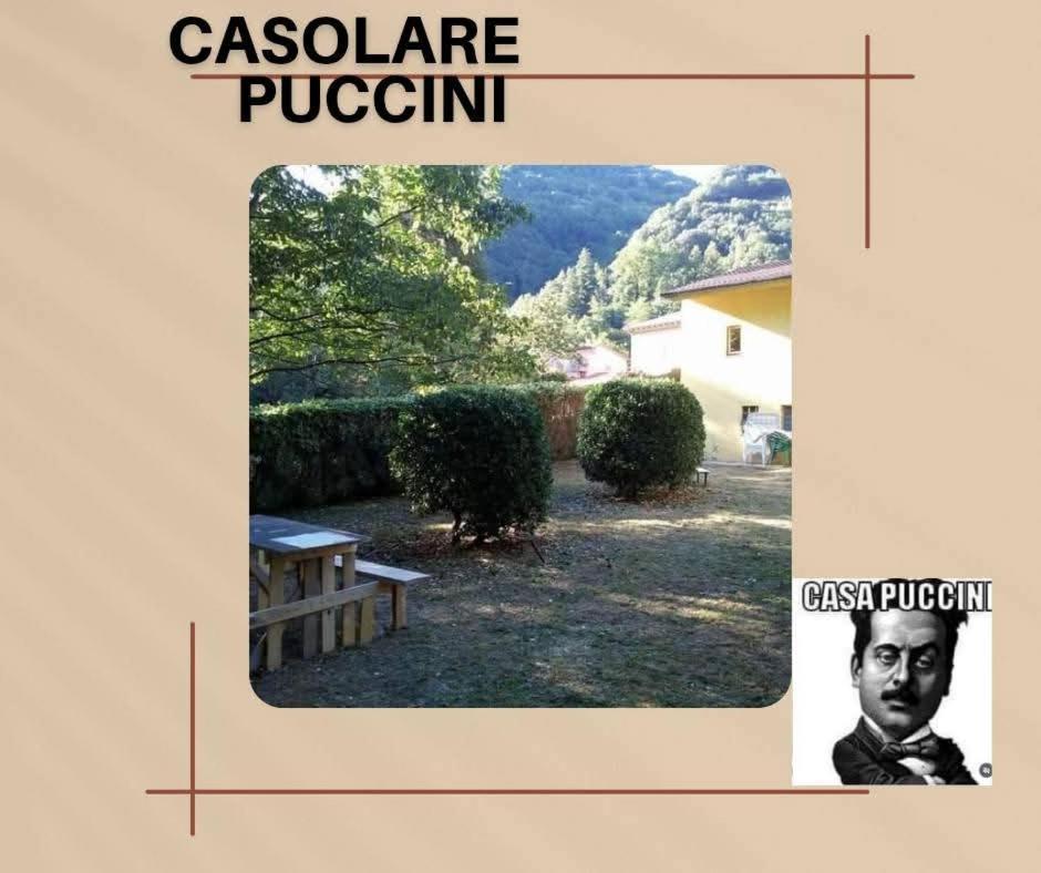 Casolare Puccini Apartment Бани ди Лука Екстериор снимка