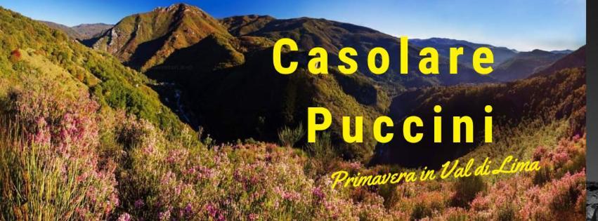 Casolare Puccini Apartment Бани ди Лука Екстериор снимка