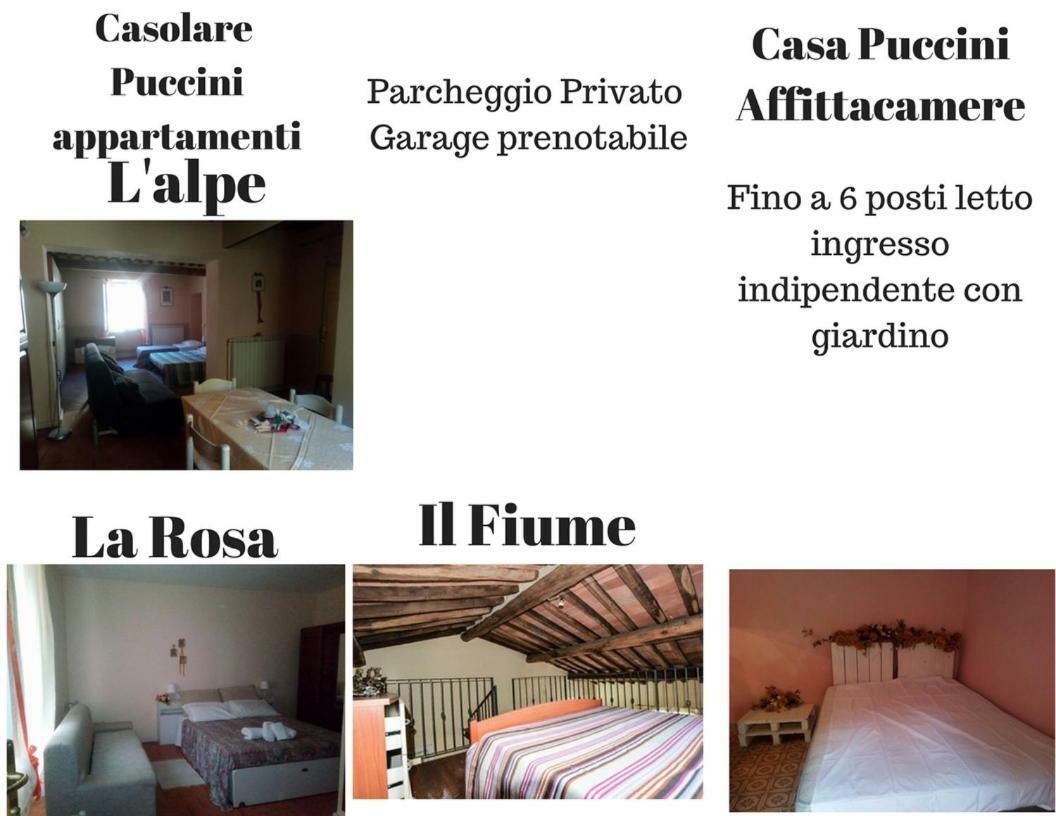 Casolare Puccini Apartment Бани ди Лука Екстериор снимка